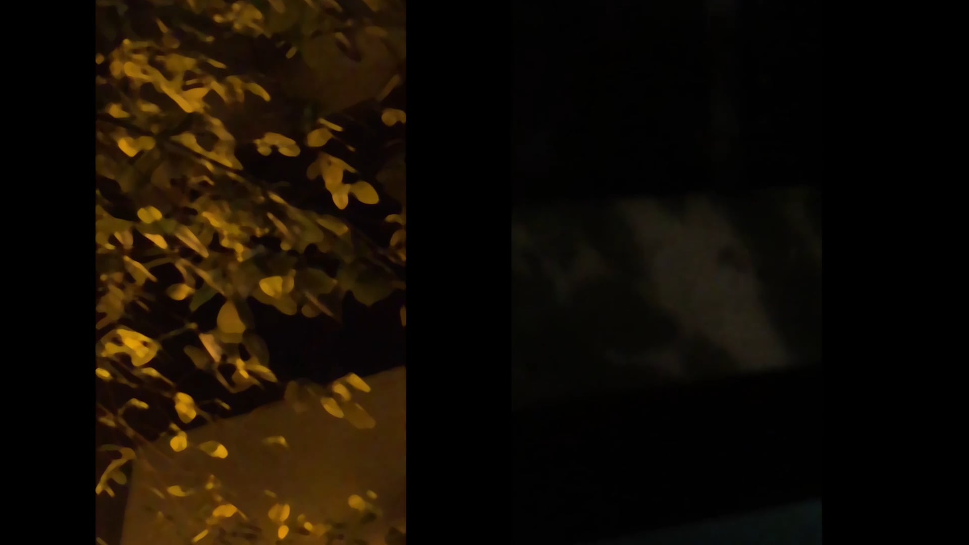 test 1 on Vimeo