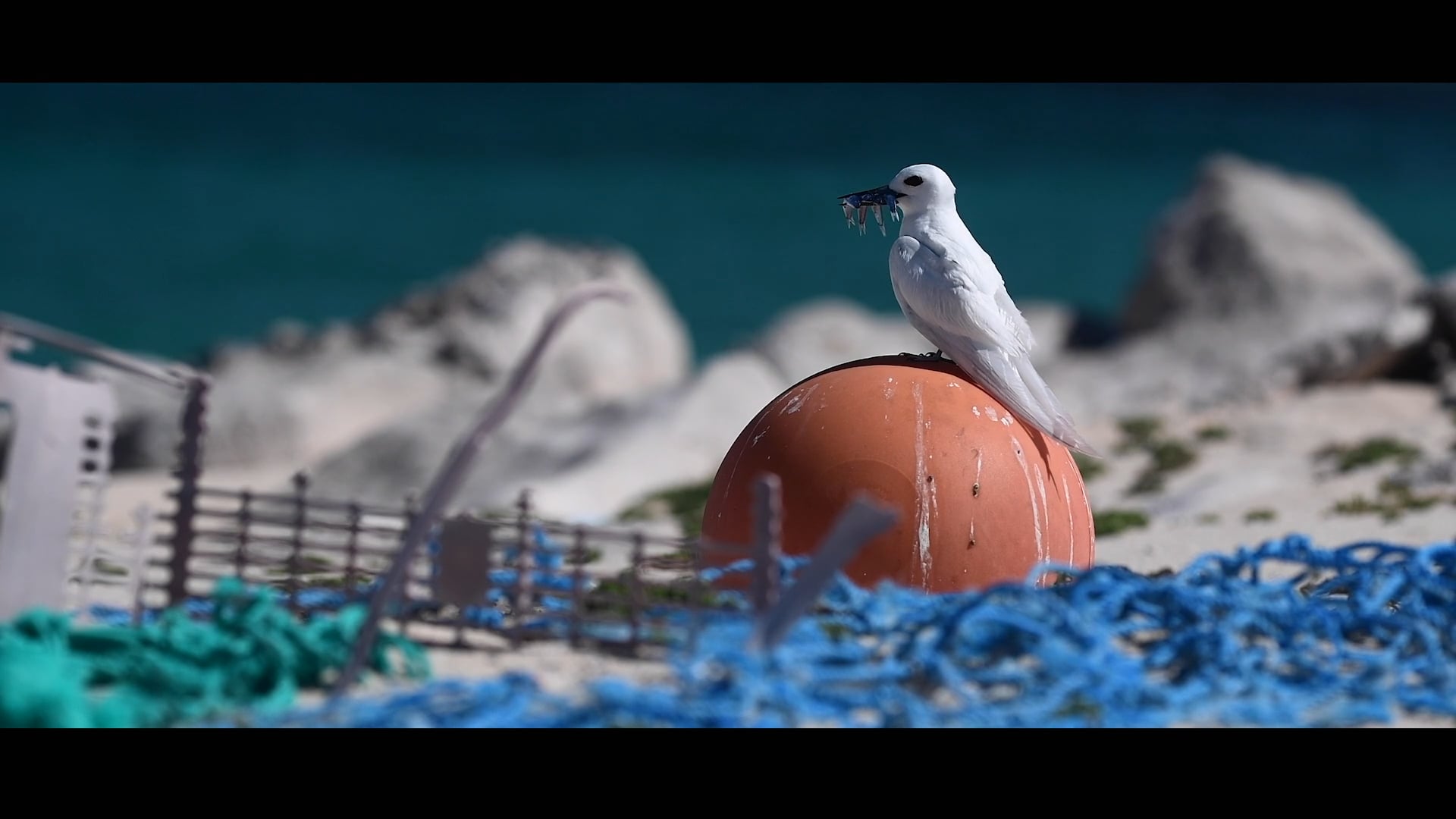 "United by the Ocean" || Marine Debris in Papahānaumokuākea Marine National Monument