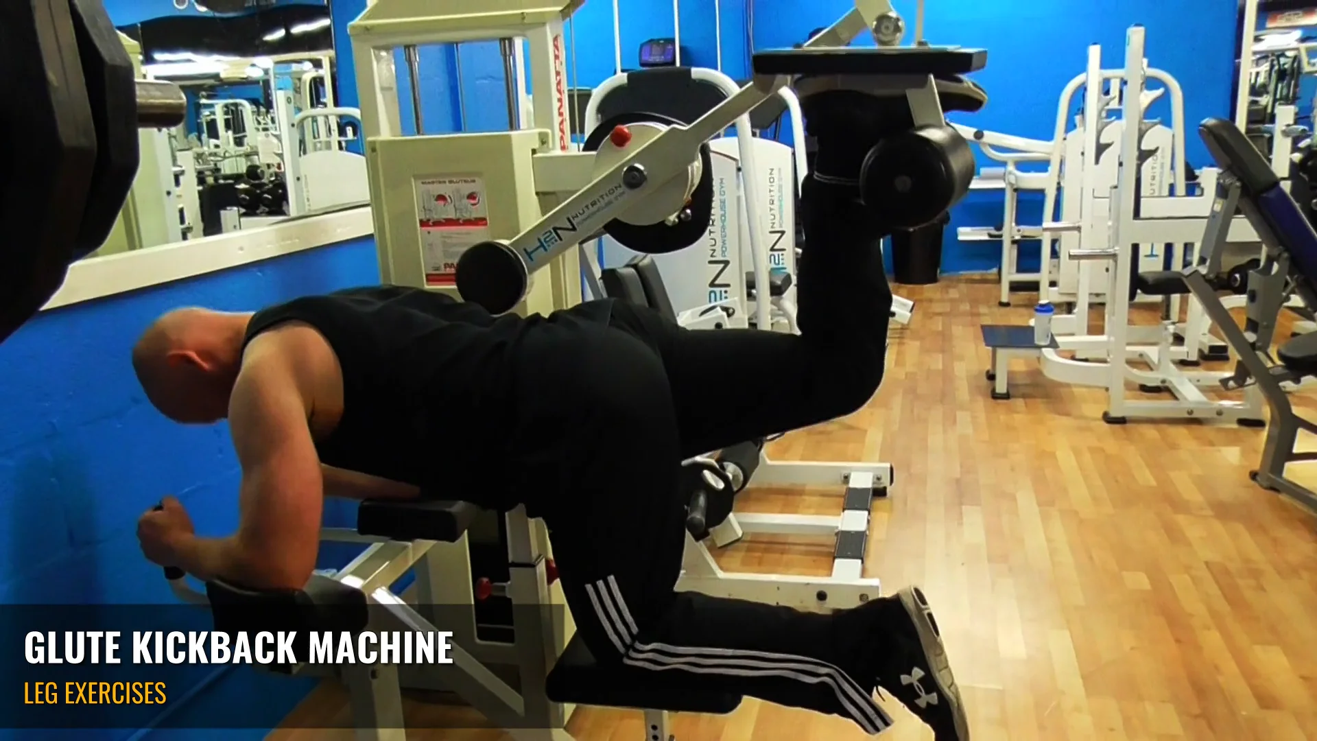 glute kickbacks machine