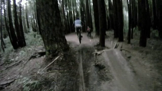 Ucsc best sale mtb trails