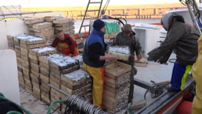 Intervinguts a L’Escala 200 quilos de peix que no reunia garanties per a la venda