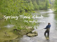 Spring Time Chub - CDC Mayfly Fishing 
