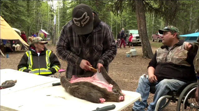 Nature photographer rescues man caught in beaver trap - CHVNRadio