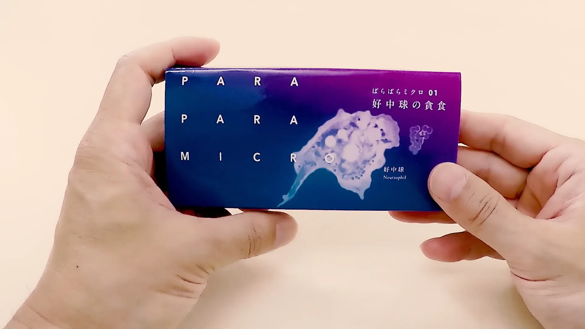 虚構の終焉 マクロ経済「新パラダイム」の幕開け 新章開幕！Z/Xを予約してPRカードをもらおう！キャンペーン 爆臨