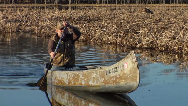 Wetland Mitigation - aired on PBS