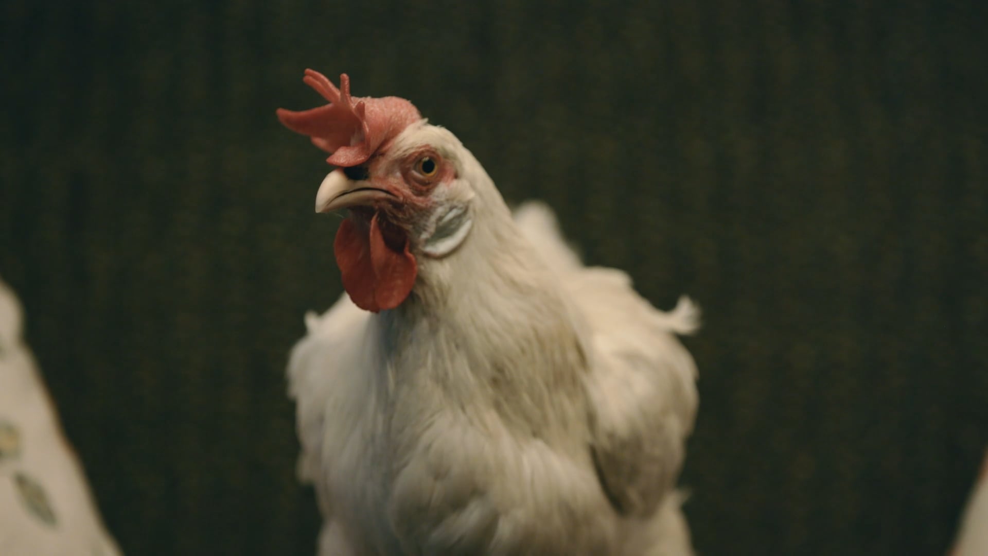 Perdue - Intervention