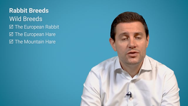 Module 01: Rabbit Husbandry - Video Thumbnail
