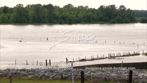 1298 Mississippi River flood waters stock footage video
