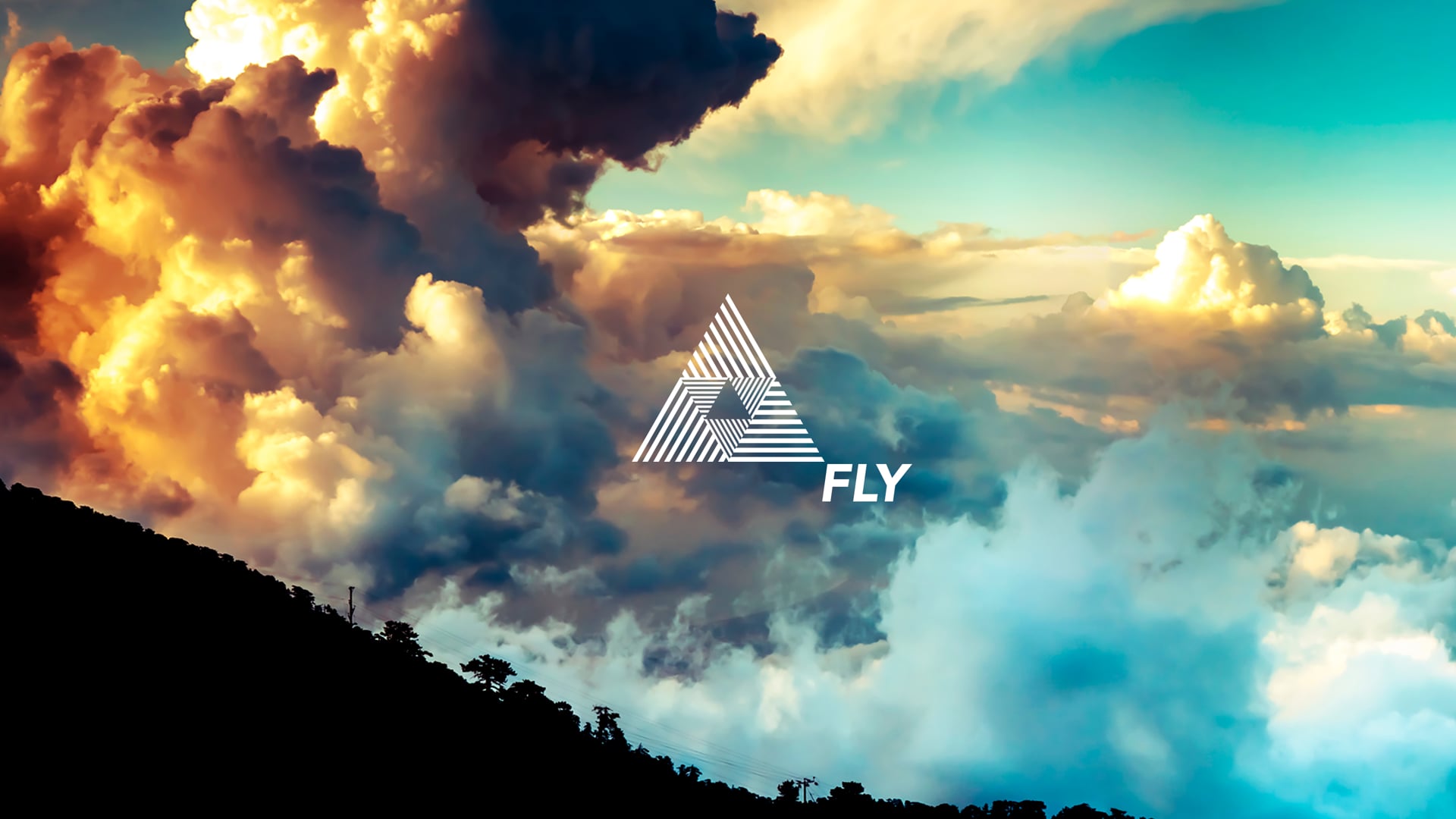 FLY DRONES