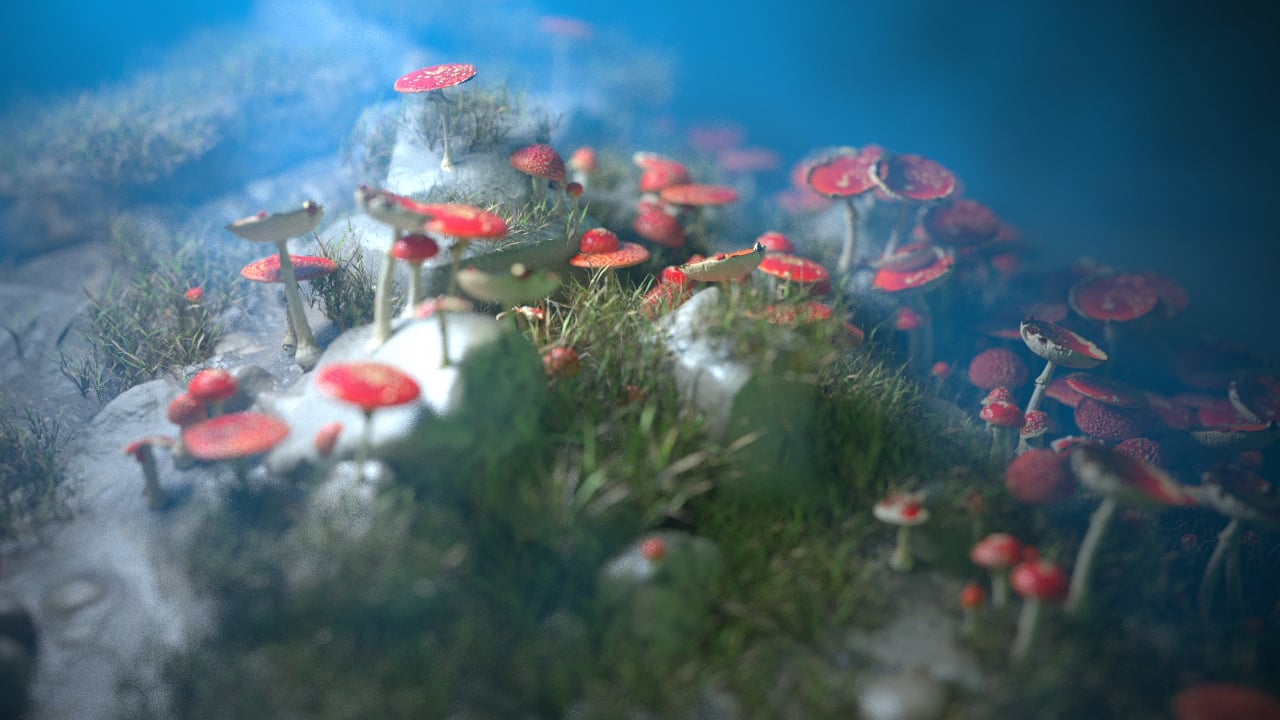 Small Nature on Vimeo