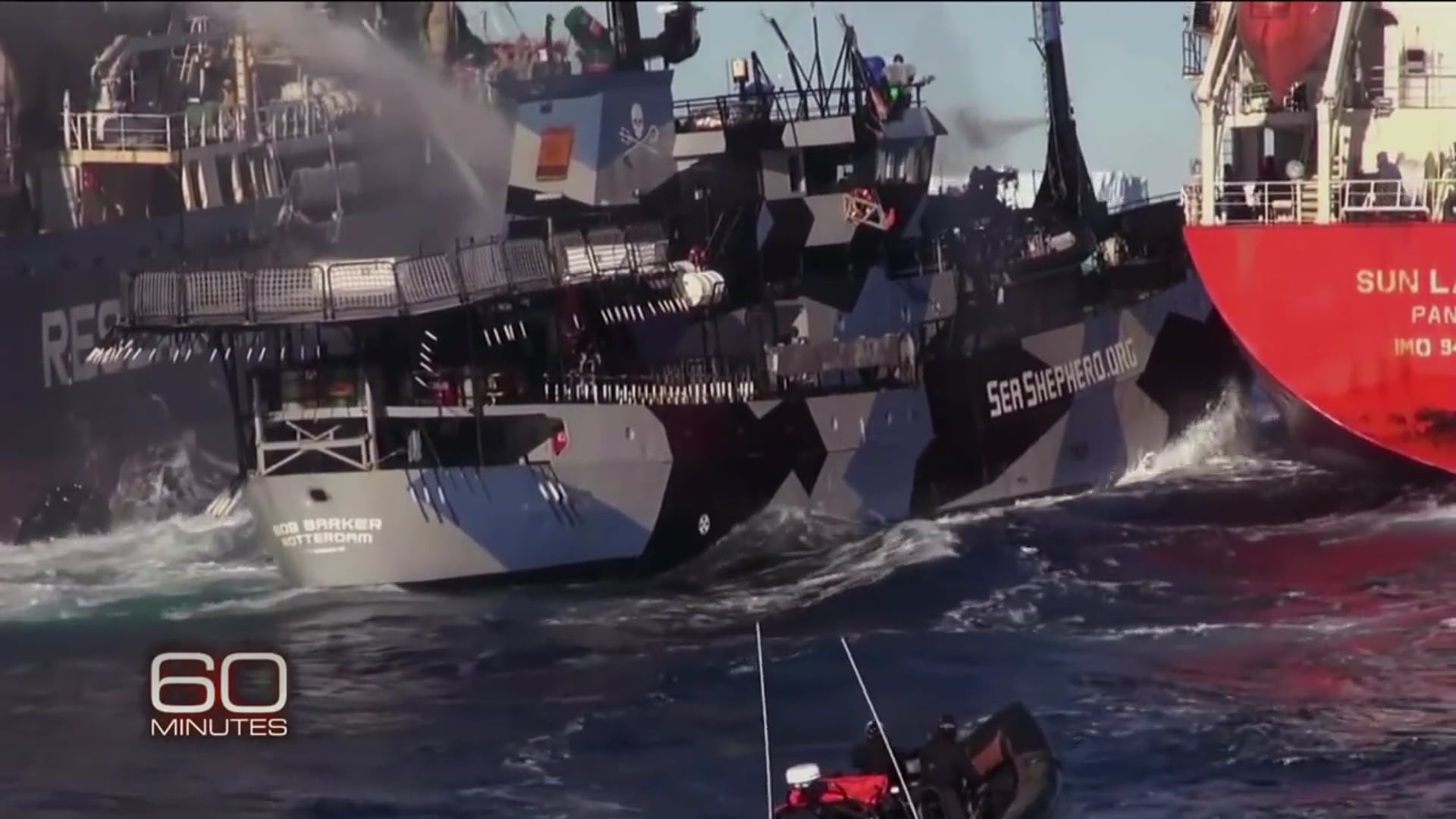 RETURN OF THE HUMPBACK