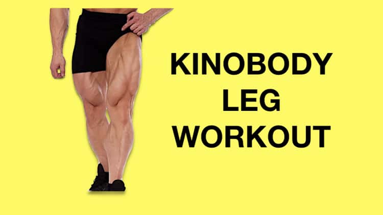 Kinobody discount workout split