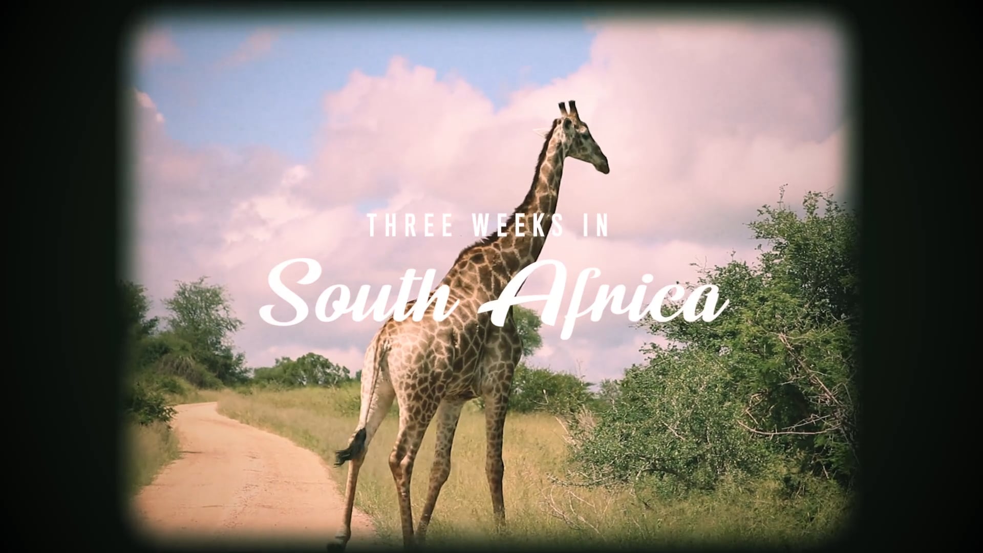 Three Weeks in South Africa