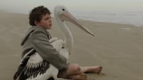 Related Embedded Video Item Thumbnail