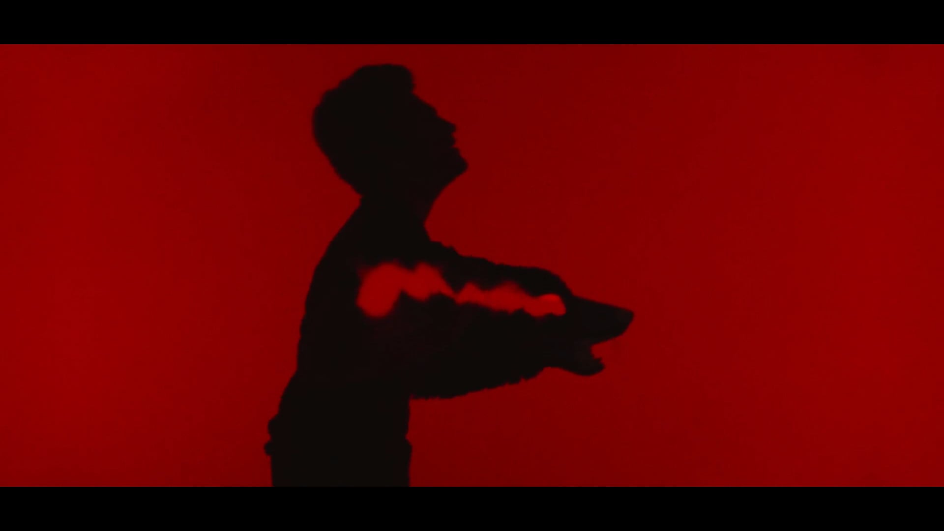 Jão - Videocase Tour 2019