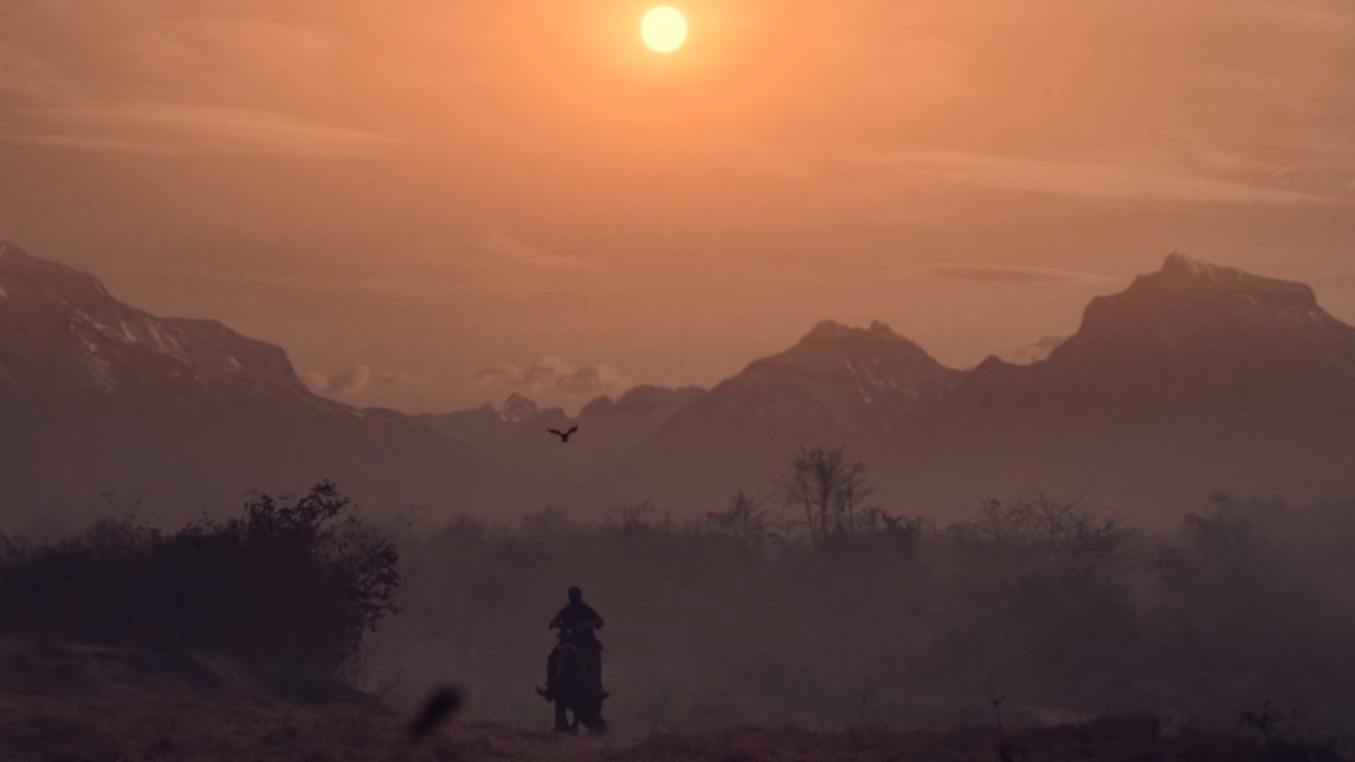 Ark Hair Oil Launch Film 'Enchanted Beauty'