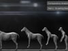 Part 4 - Sculpting Demonstration