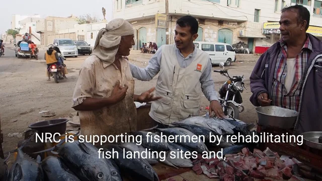 Fishing Industry in Yemen - IMPACT Consulting