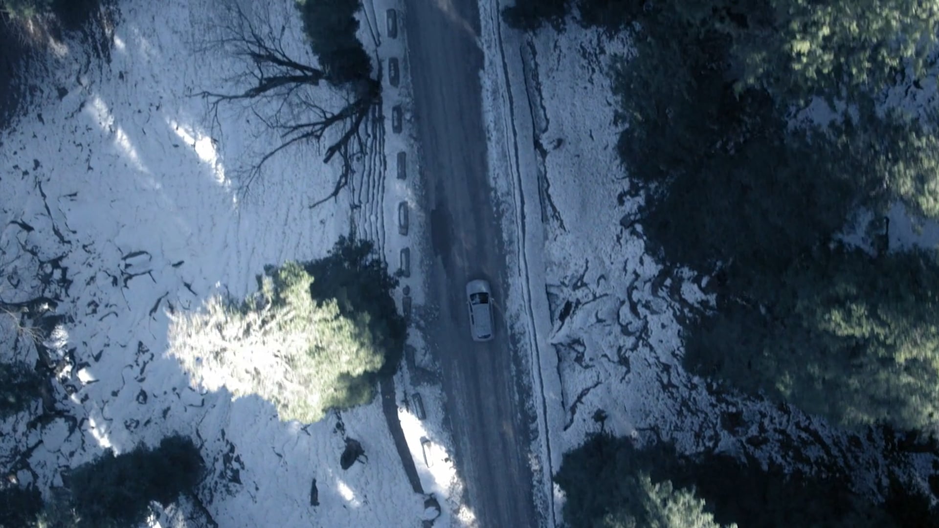 Morris Garages | Ready To Be Unleashed