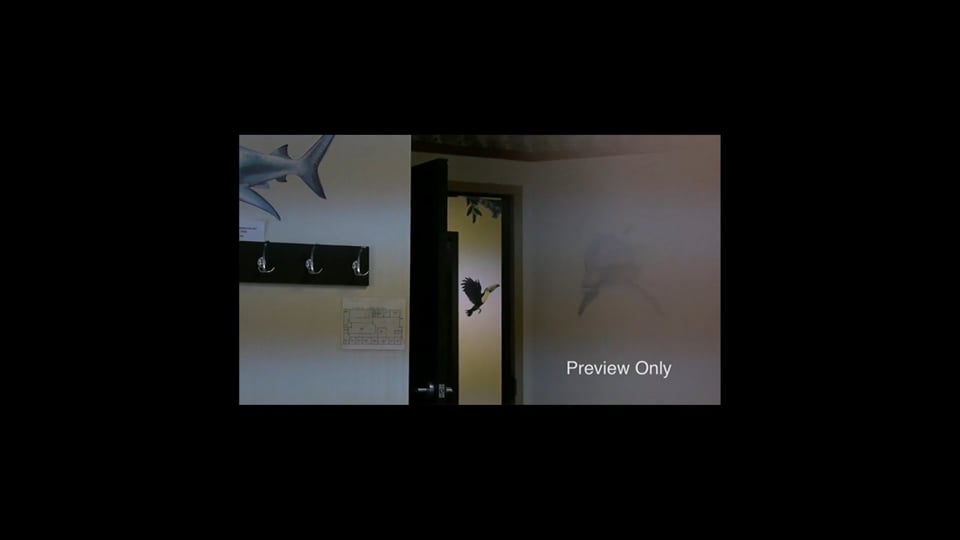 Waiting Room