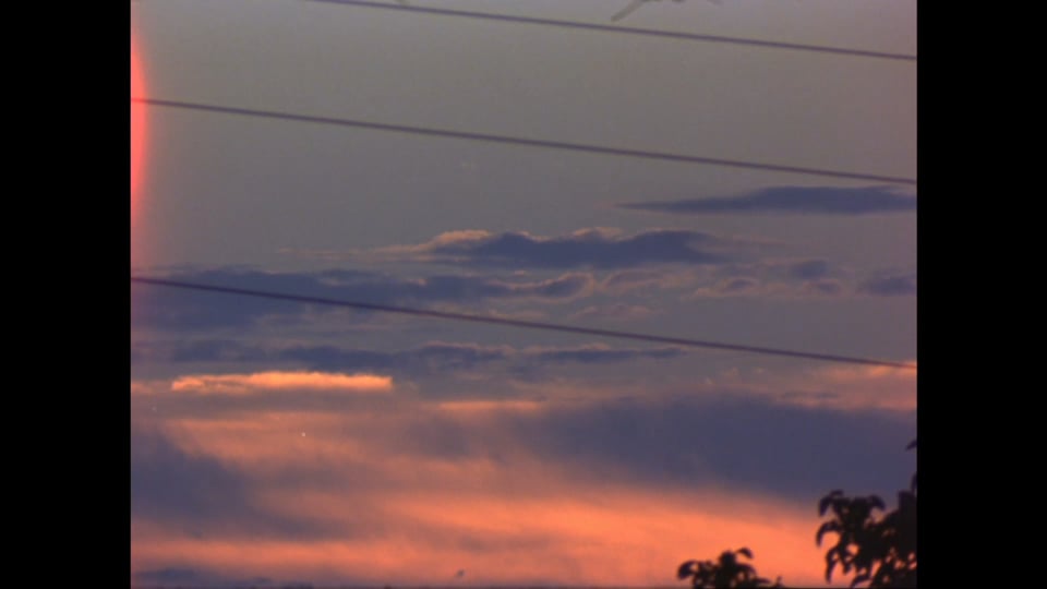 Transits of Venus, The