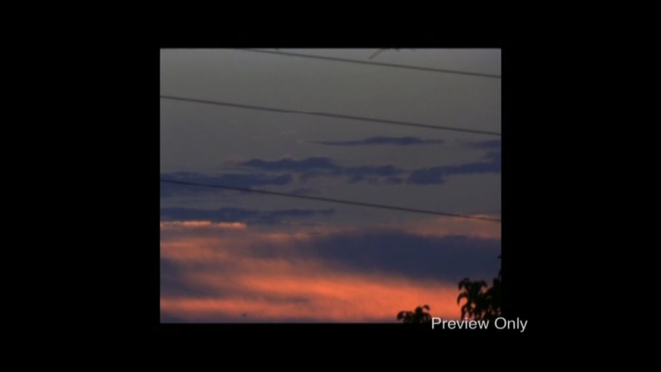 Transits of Venus, The