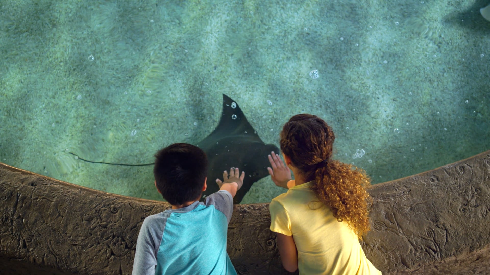 Stingray Cove TV Spot