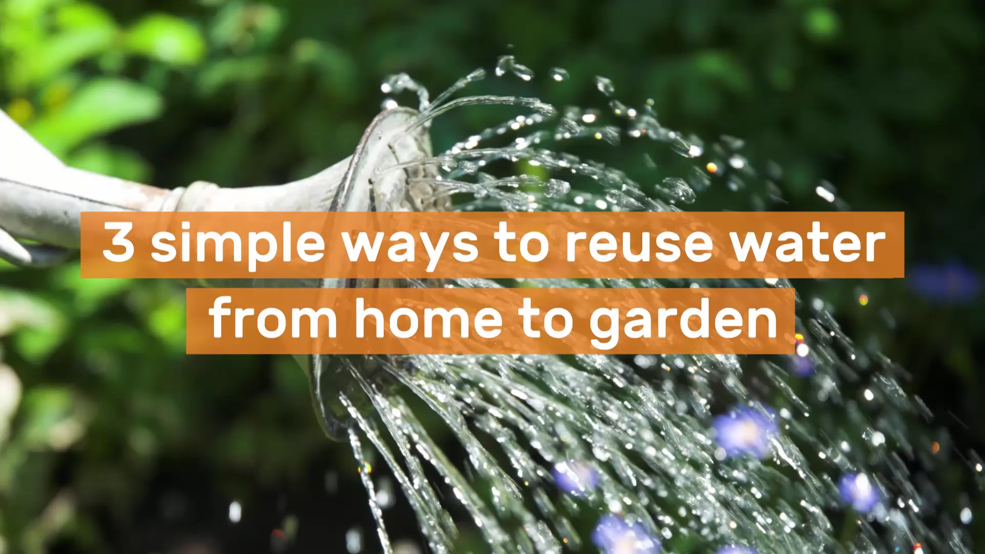 Ways to Reuse Water