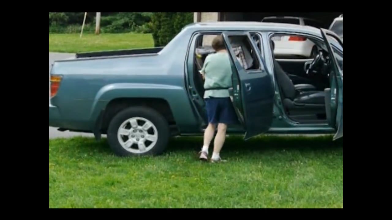 Watch Reactive Dog Classes On The Road To Reality Online Vimeo On 