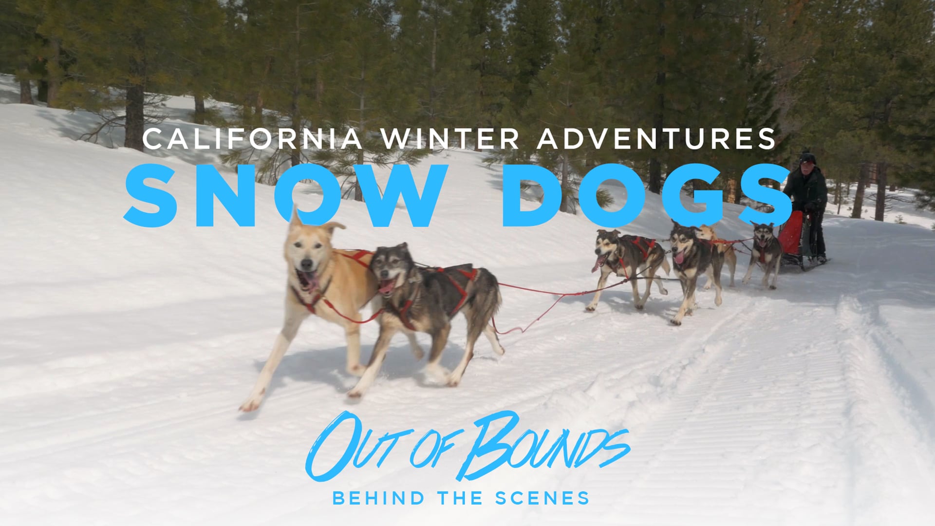 Out of Bounds - Behind the Scenes 3 - California Winter Adventures: Snow Dogs