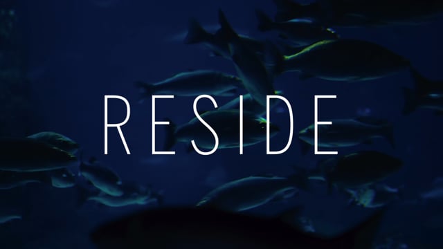 Sotheby's International Realty - Reside Moments - Diving In