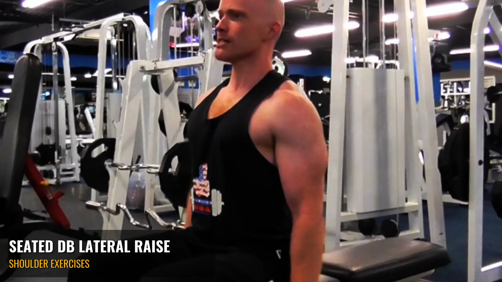 Seated dumbbell lat discount raise