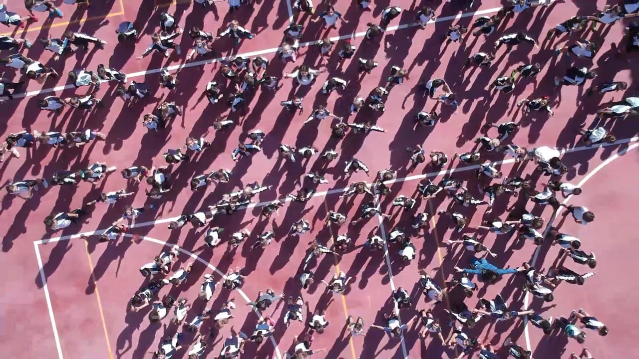 Flash mob 2019: Haz brillar tu estrella