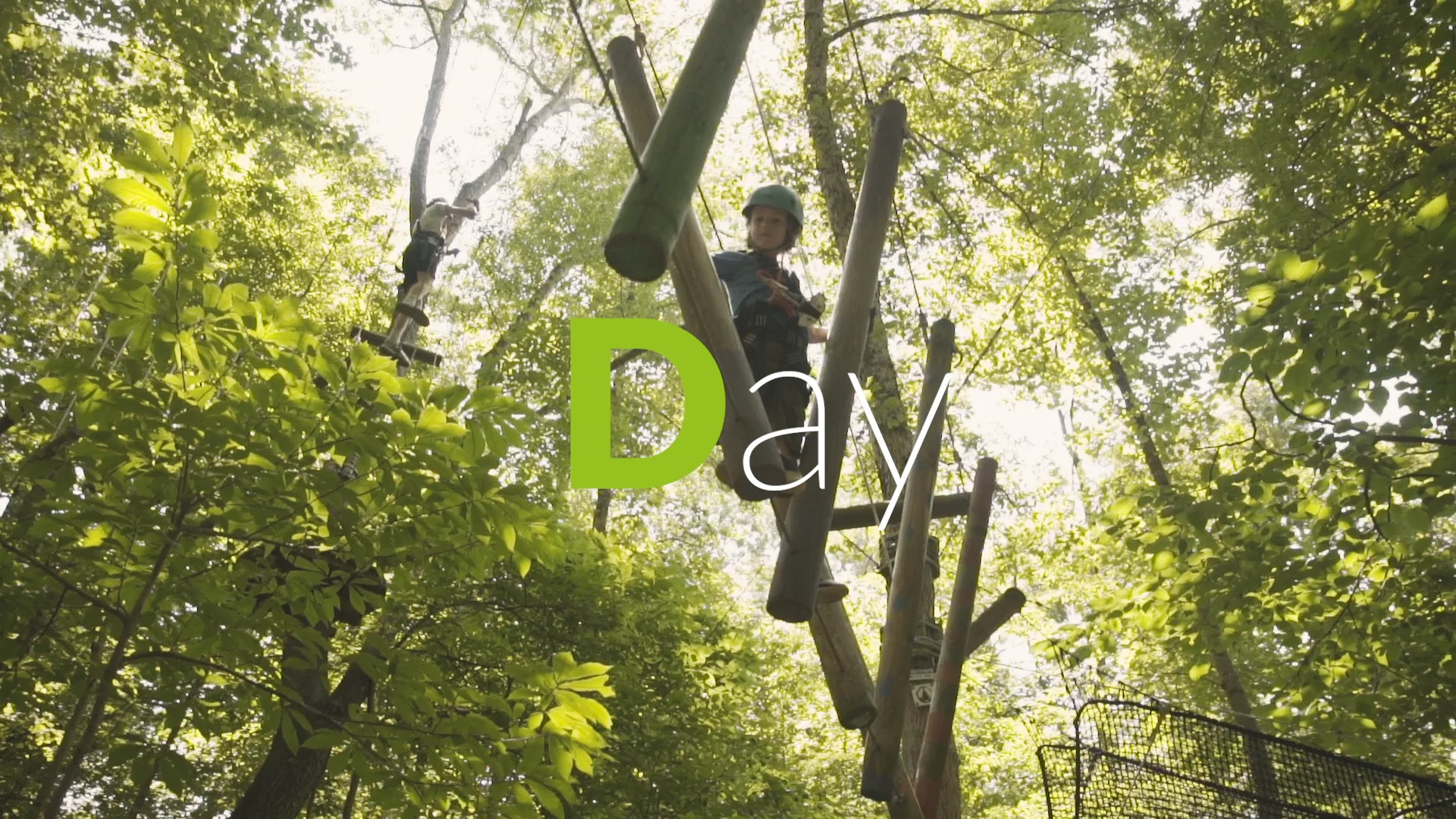 Treetop Zipline Adventure in Knoxville | Explore Navitat