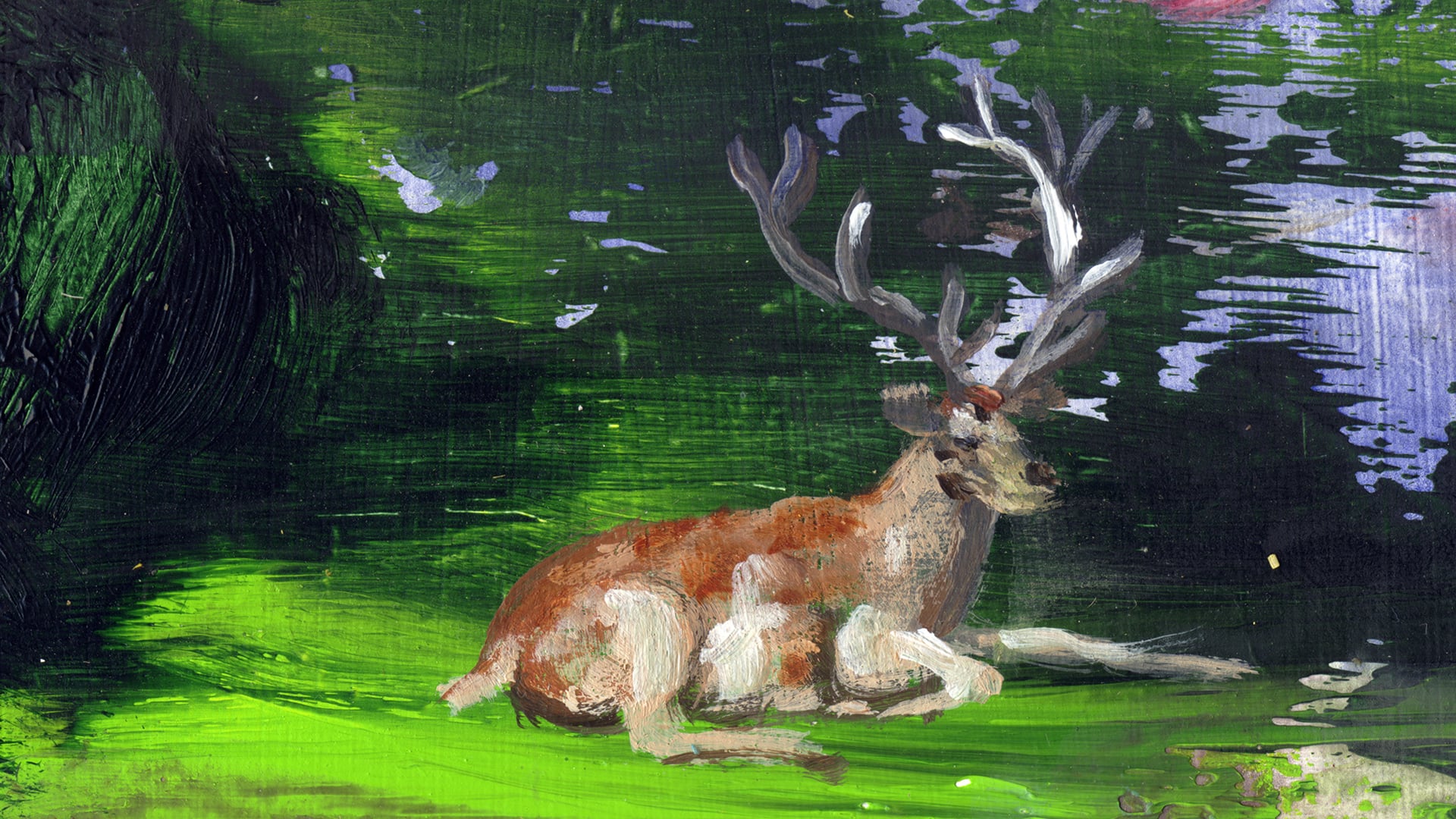 Deer-(msp)-3min53-2011