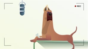 Budget Pet Products - Customer Success Story