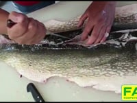 This is &amp;quot;Hecht_filet_2.mp4&amp;quot; by FAIE Handelsgesellschaft mbH on Vimeo, the home for high quality videos and the people who love them.