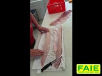 Hier wird das Hechtfilet sorgf&amp;auml;lltig entgr&amp;auml;tet. Alle Arbeitsschritte werden in diesem Video erkl&amp;auml;rt.