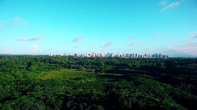 ninosouza