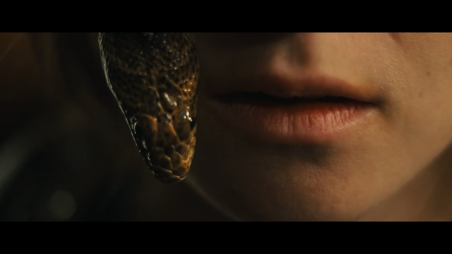 TRAILER - "HOWL"
