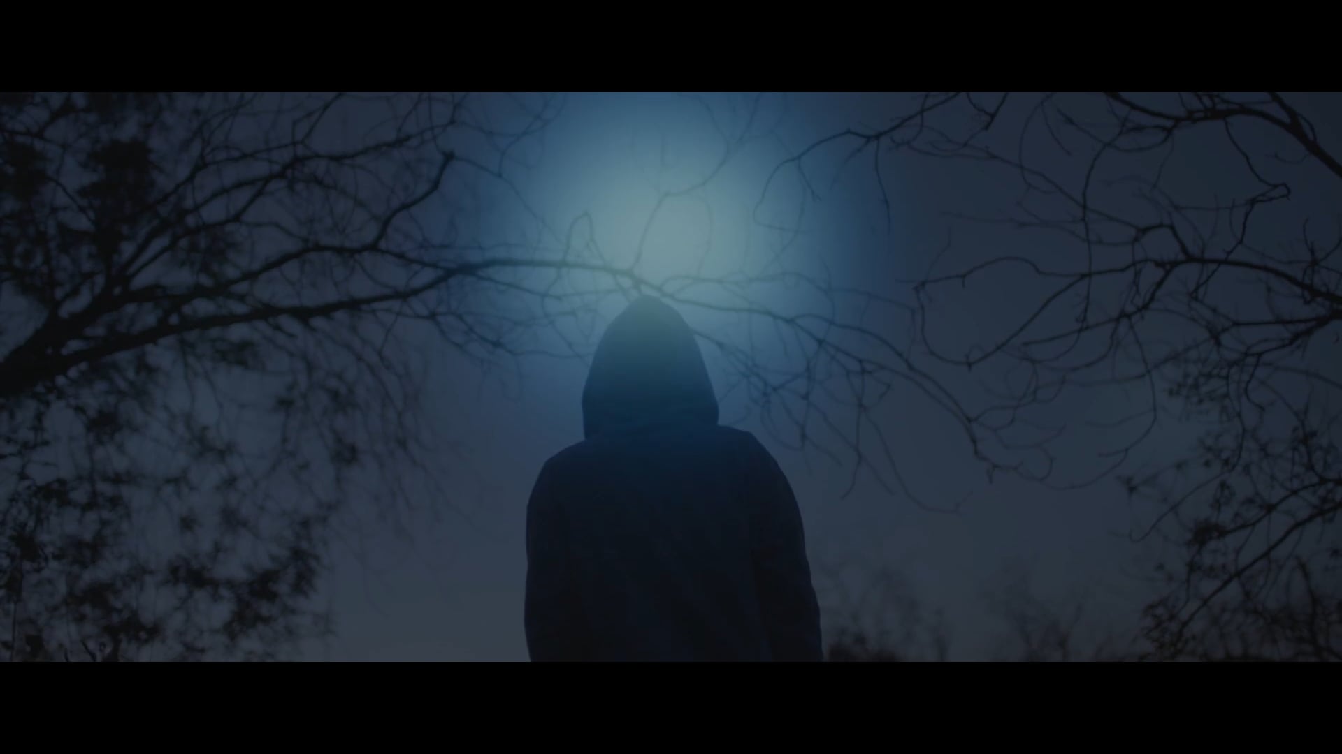 Cinematic Reel