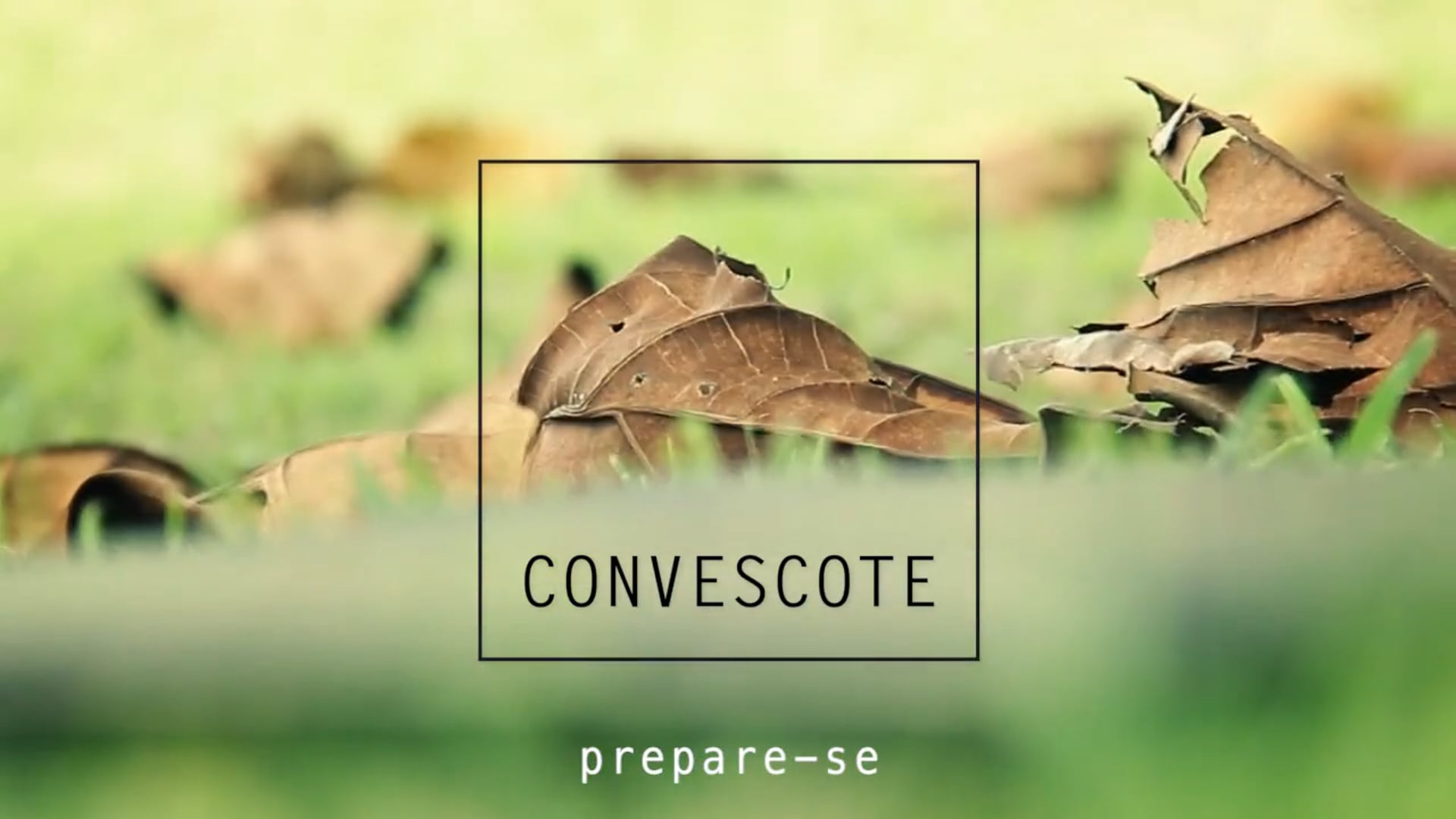 Convescote | Teaser