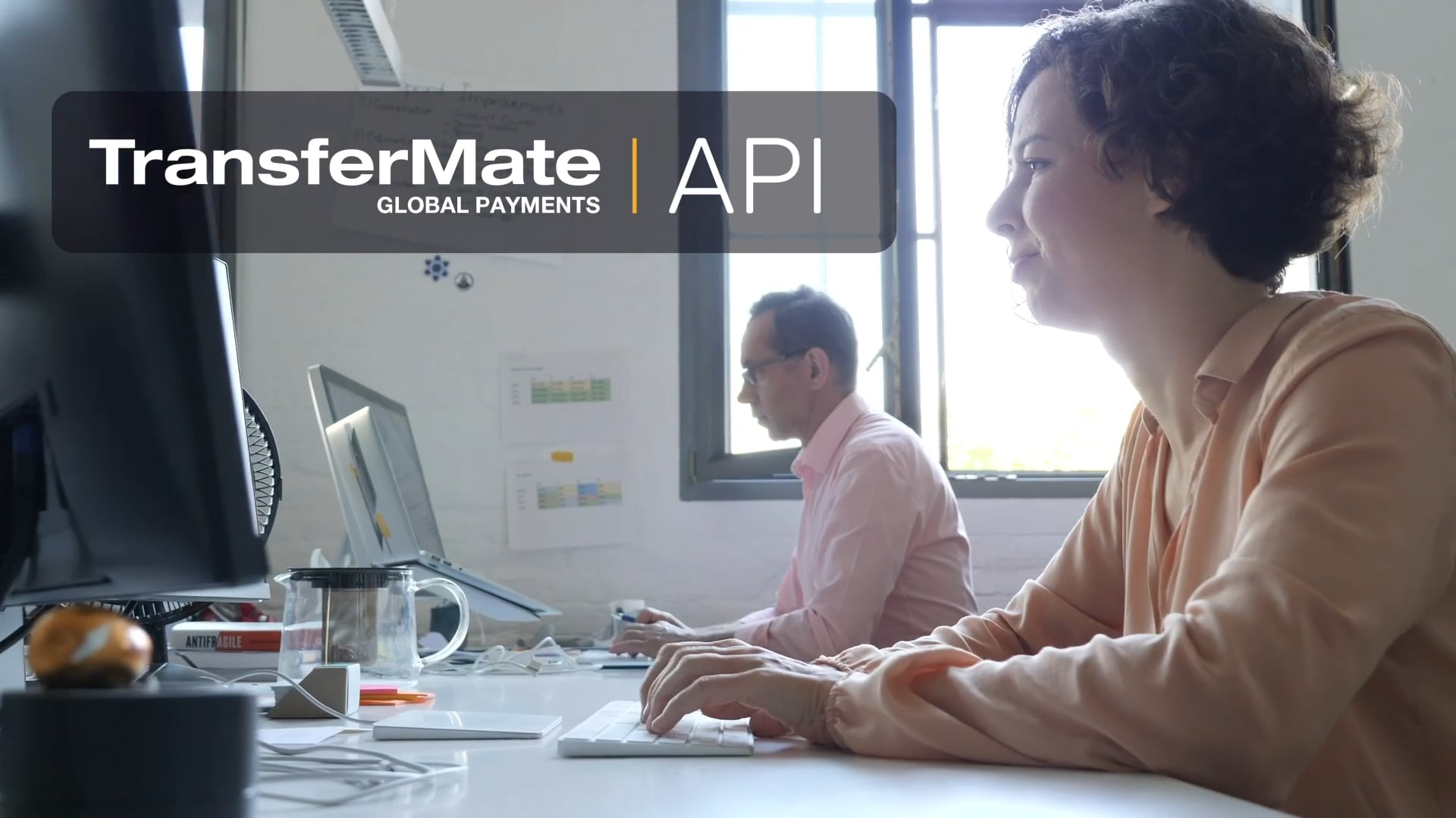 About The TransferMate API - Demo On Vimeo