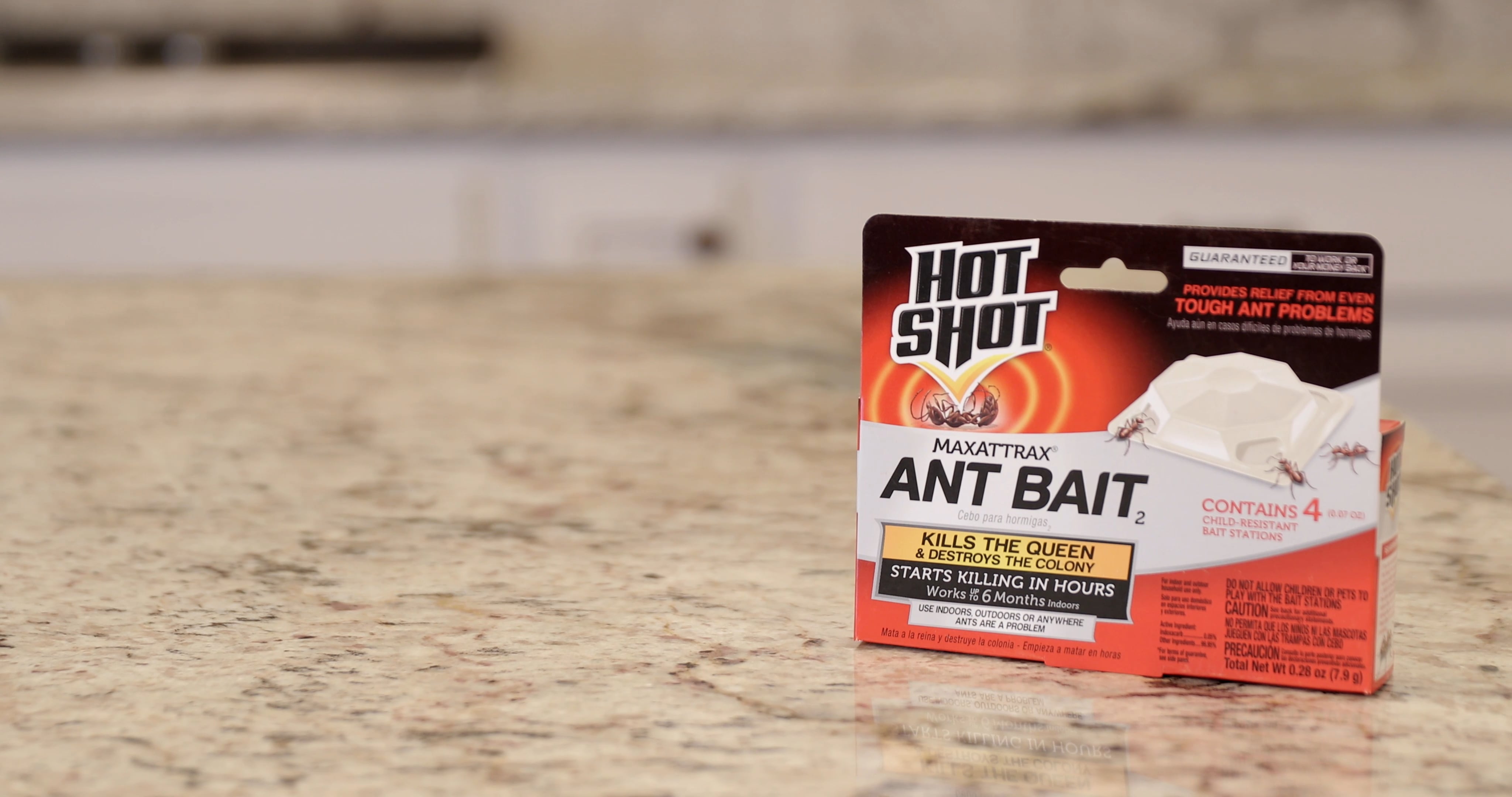 SB Hot Shot MaxAttrax Ant Bait 060719 on Vimeo