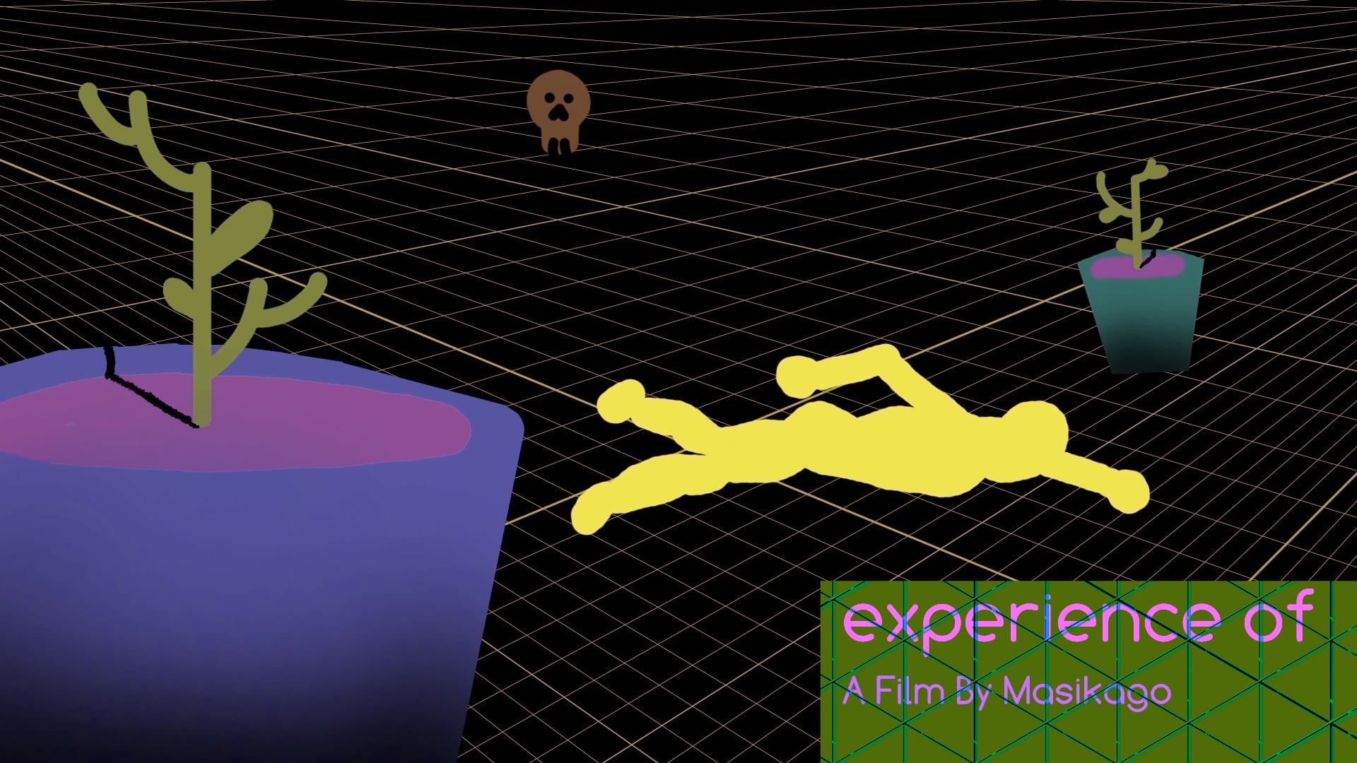 Experience of