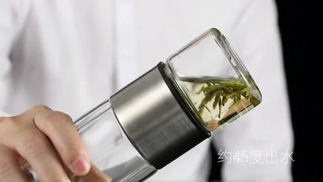 PARACITY Glass Tea Infuser Bottle Double Wall Borosilicate