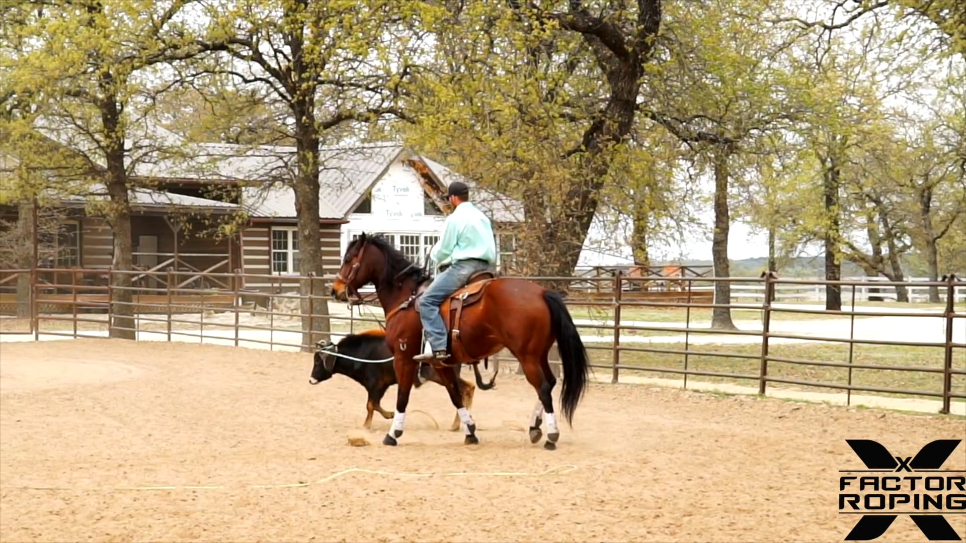 Practice Runs that Bring Your Horse Back Down with Marty Becker FREE