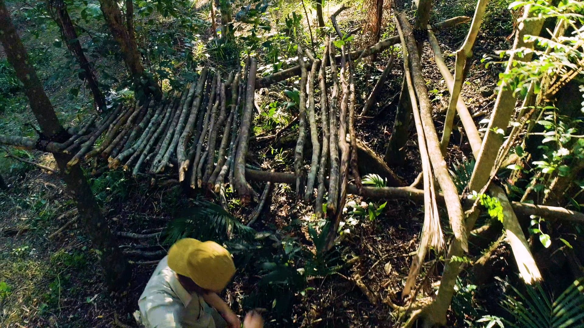 Bluprint Kids Highlight Reel