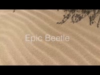 Epic Beetle