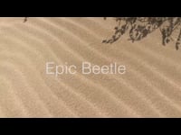 Epic Beetle